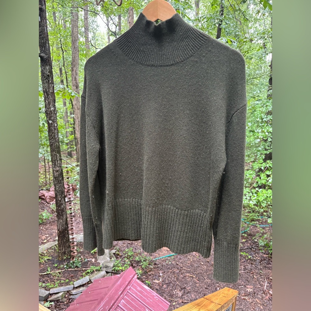 Everlane Boxy Turtleneck Cashmere Sweater